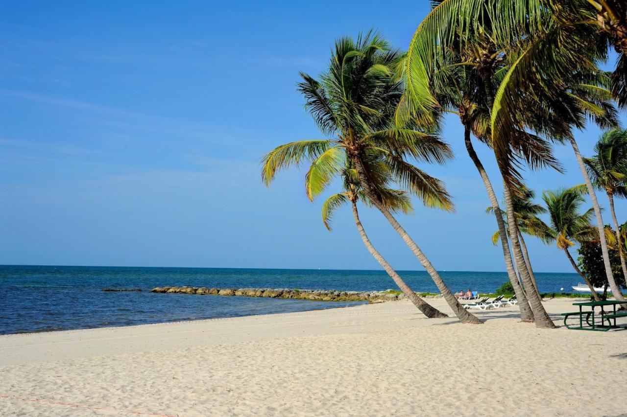 Sunrise Suites Cat Island Suite #205 Key West Eksteriør billede